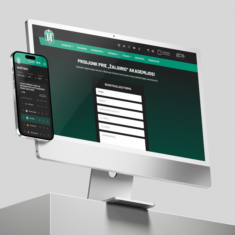 Zalgirio akademija Project